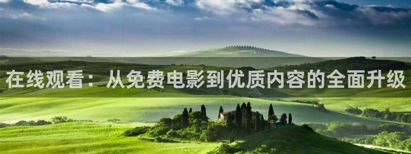 草莓视频网站最新：在线观看：从免费电影到优质内容的全面升级