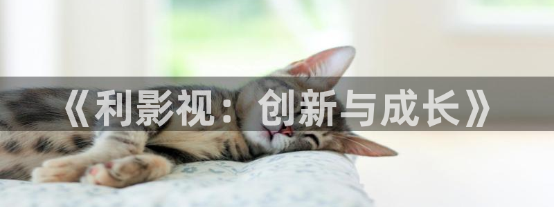 草莓视频色18：《利影视：创新与成长》