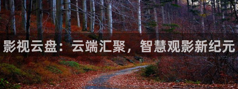 草莓视频大片：影视云盘：云端汇聚，智慧观影新纪元