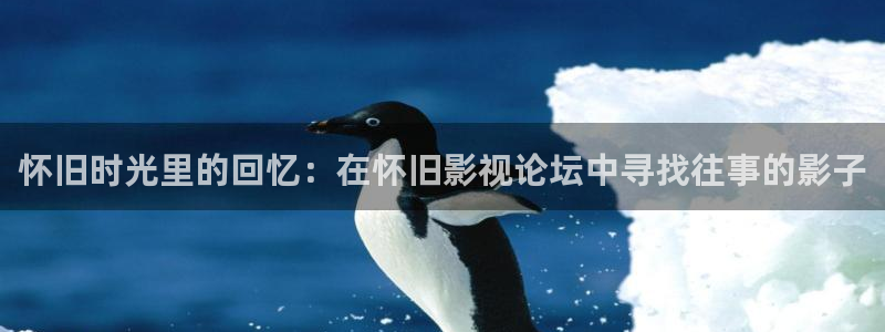 草莓视频在线下载官网：怀旧时光里的回忆：在怀旧影视论坛中寻找往事的影子