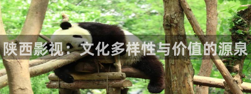 草莓视频官网下载52xc：陕西影视：文化多样性与价值的源泉