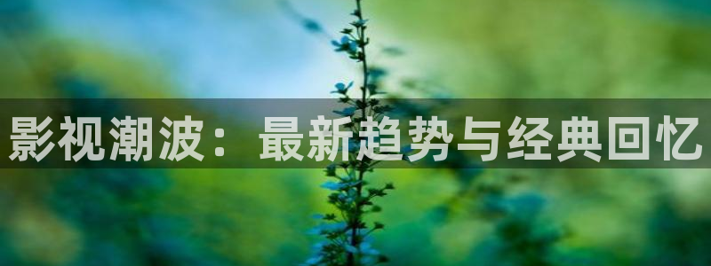 草莓精品视频：影视潮波：最新趋势与经典回忆