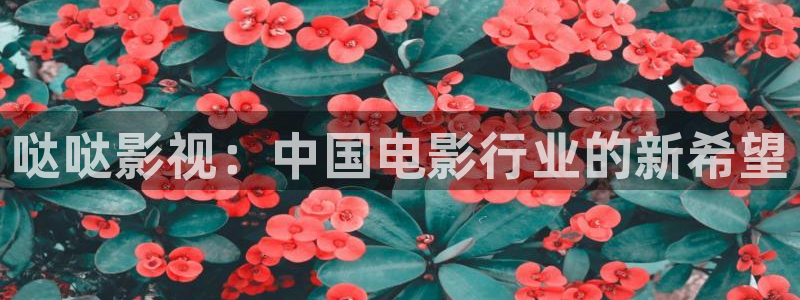 草莓视频官网.：哒哒影视：中国电影行业的新希望
